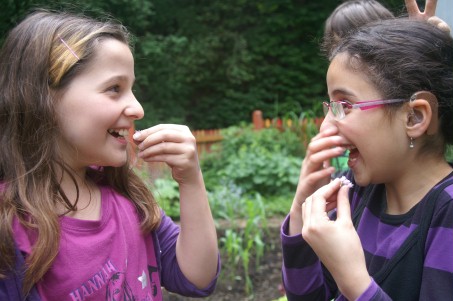 Zwei Mädchen probieren Erzeugnisse aus dem Garten und haben dabei sichtlich Spaß.