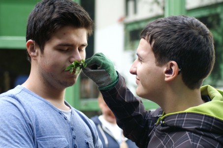 Ein Junge versucht mit geschlossenen Augen mit dem Geruch einer Pflanze wahrzunehmen