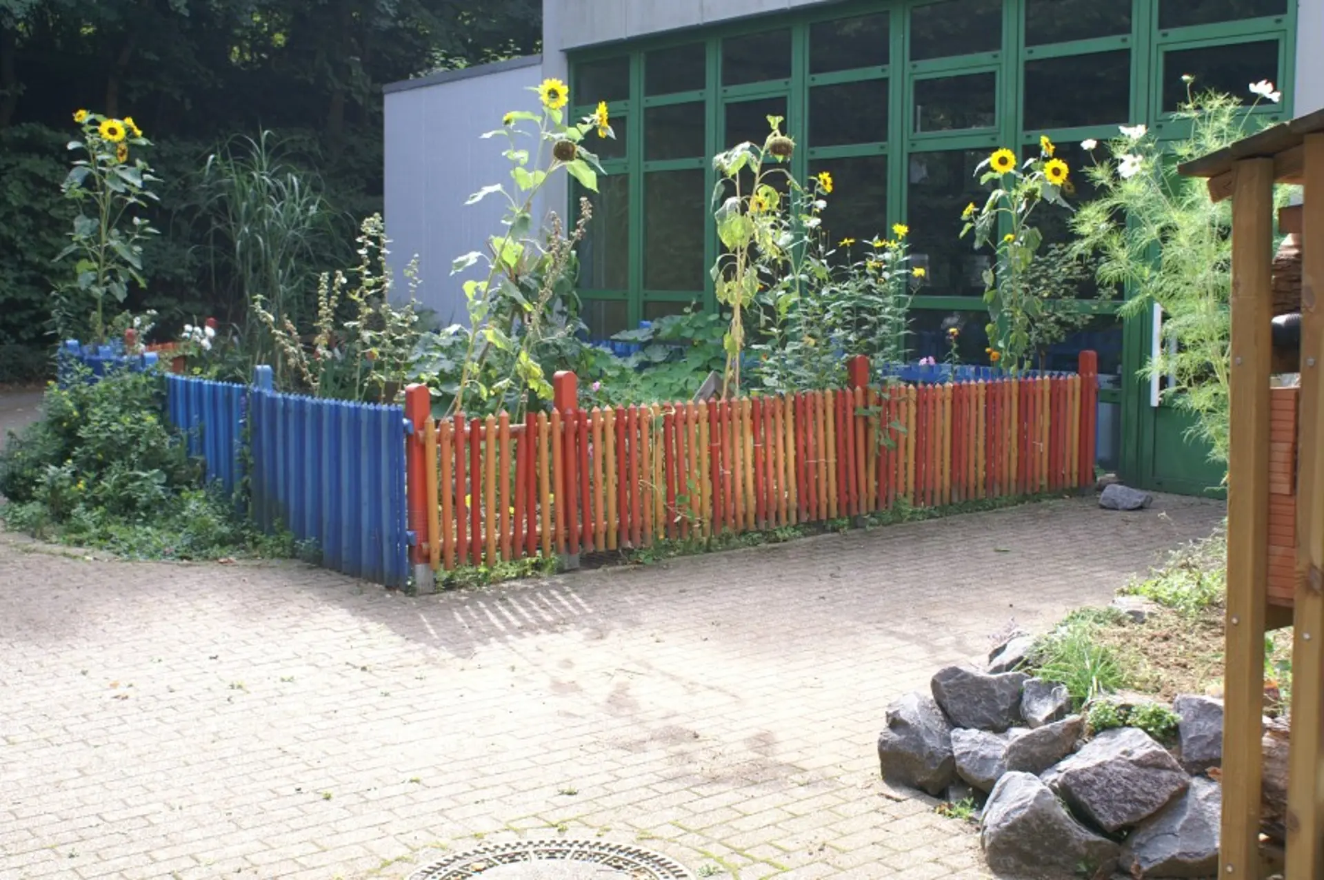 Ein mit bunt lackierten Zaunlatten abgegrenztes Stück Garten mit vielen grünen Pflanzen und riesigen Sonnenblumen. 
